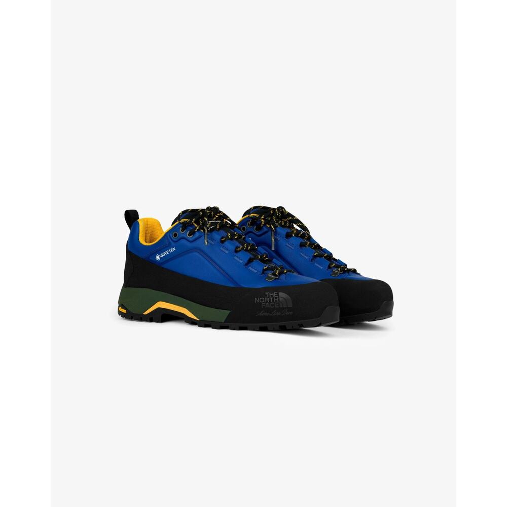 Aime Leon Dore ALD / The North Face Verto Alpine GORE-TEX Hiking Shoes